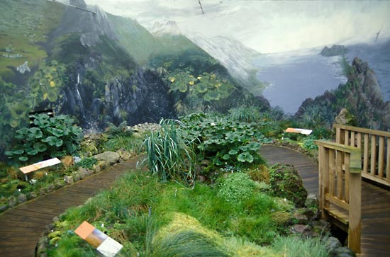 Im Subantarktic Plant House